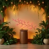 Тт -7 персиковая тростинка 72LED lights, управляемая USB телекинез 8, компания bokkai arts co details Picture